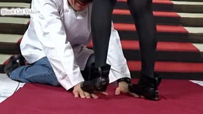 Kitty Trampling Hands Floorview