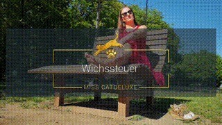 Wichssteuer