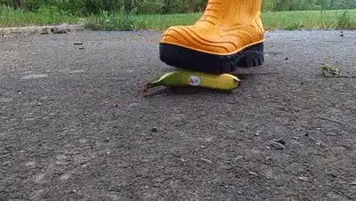 Mega Gummistiefel Treffen Auf Obst