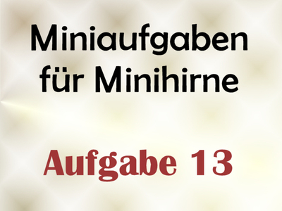 Miniaufgabe Fr Minihirne – Aufgabe 13