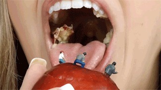 Giantess Apple Fan Feast